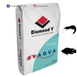 DV AQUA