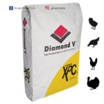 XPC™